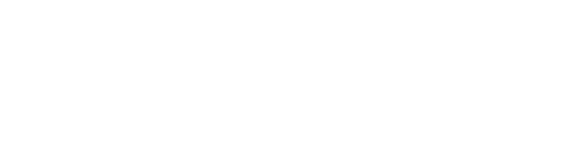 Frida Kahlo - BEYOND the Icon