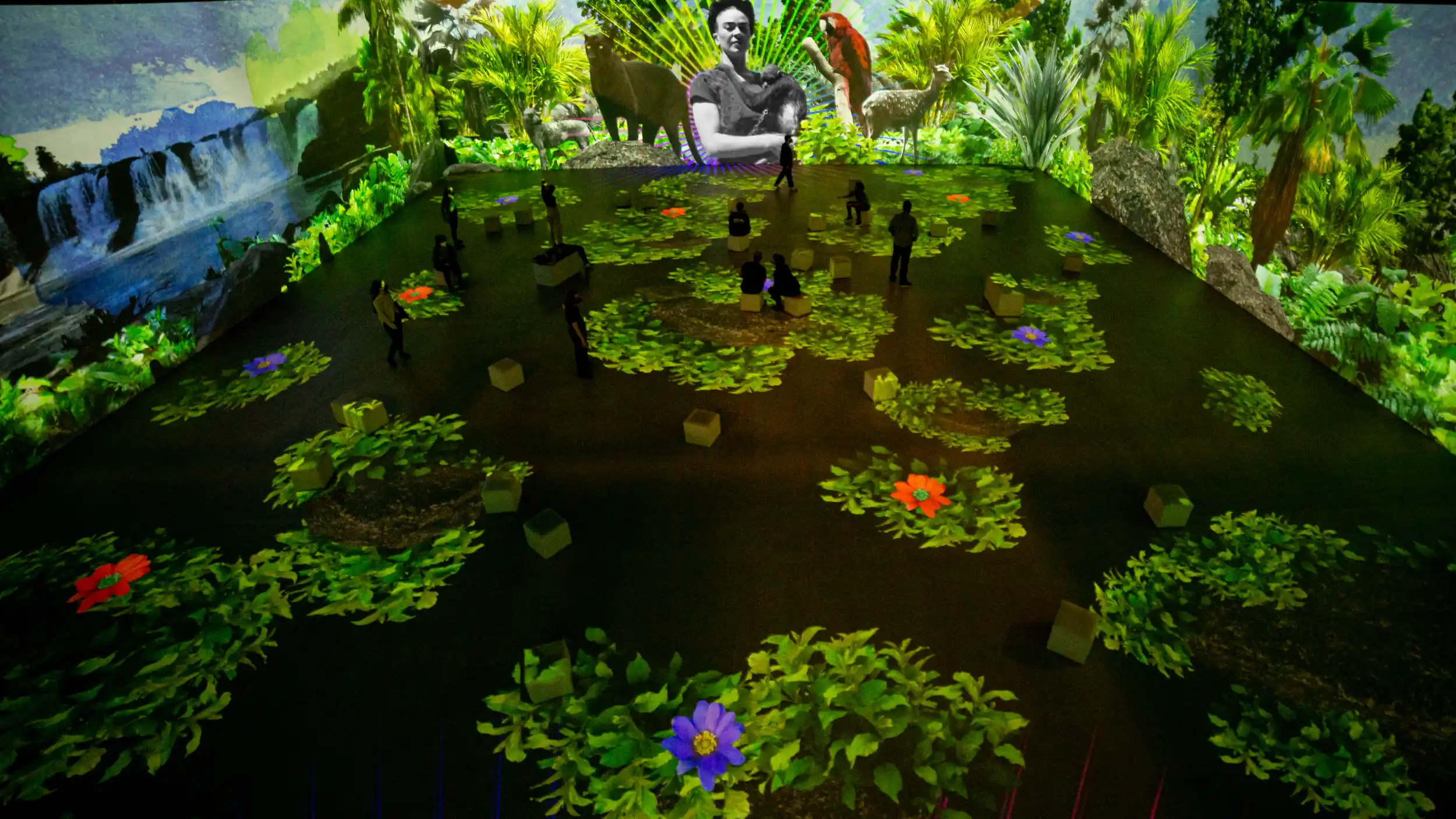 Immersive 3
