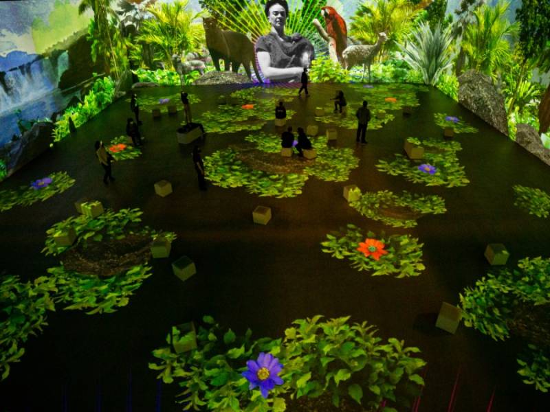 Immersive 3 (Custom)